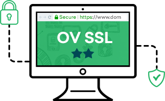 organization validation ssl icon